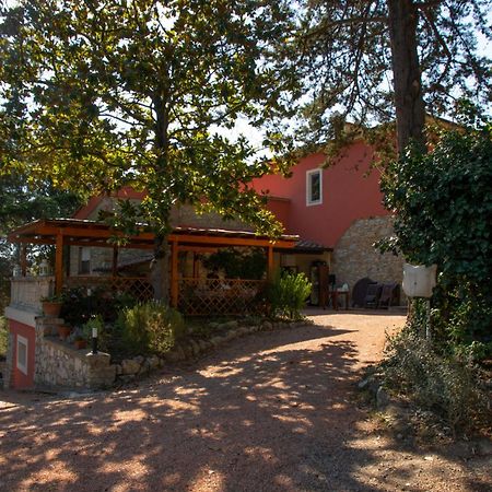 Agriturismo Terre Della Rinascita Castelnuovo della Misericordia Exteriör bild