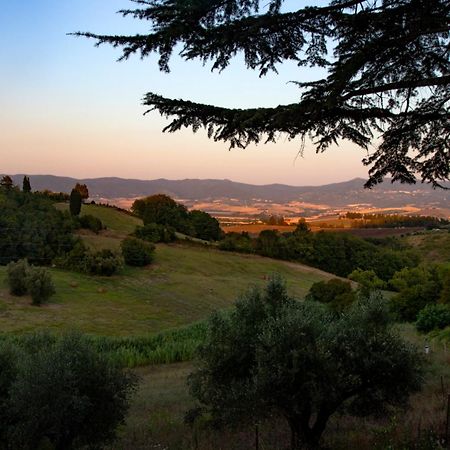 Agriturismo Terre Della Rinascita Castelnuovo della Misericordia Exteriör bild