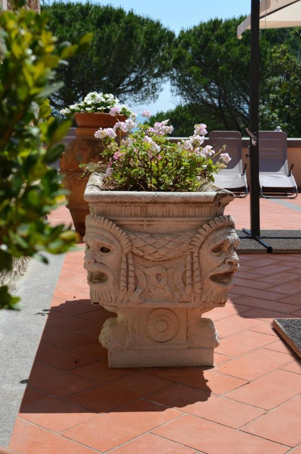 Agriturismo Terre Della Rinascita Castelnuovo della Misericordia Exteriör bild