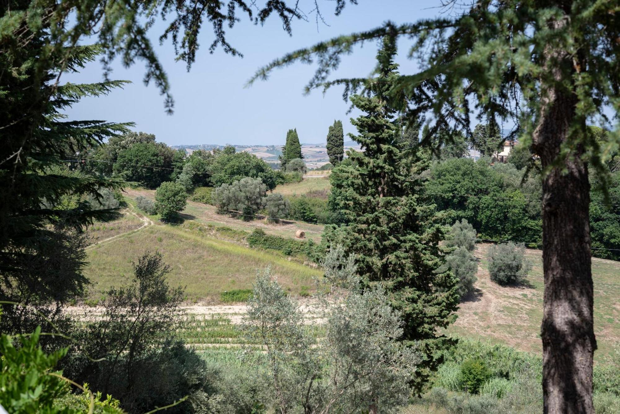 Agriturismo Terre Della Rinascita Castelnuovo della Misericordia Exteriör bild