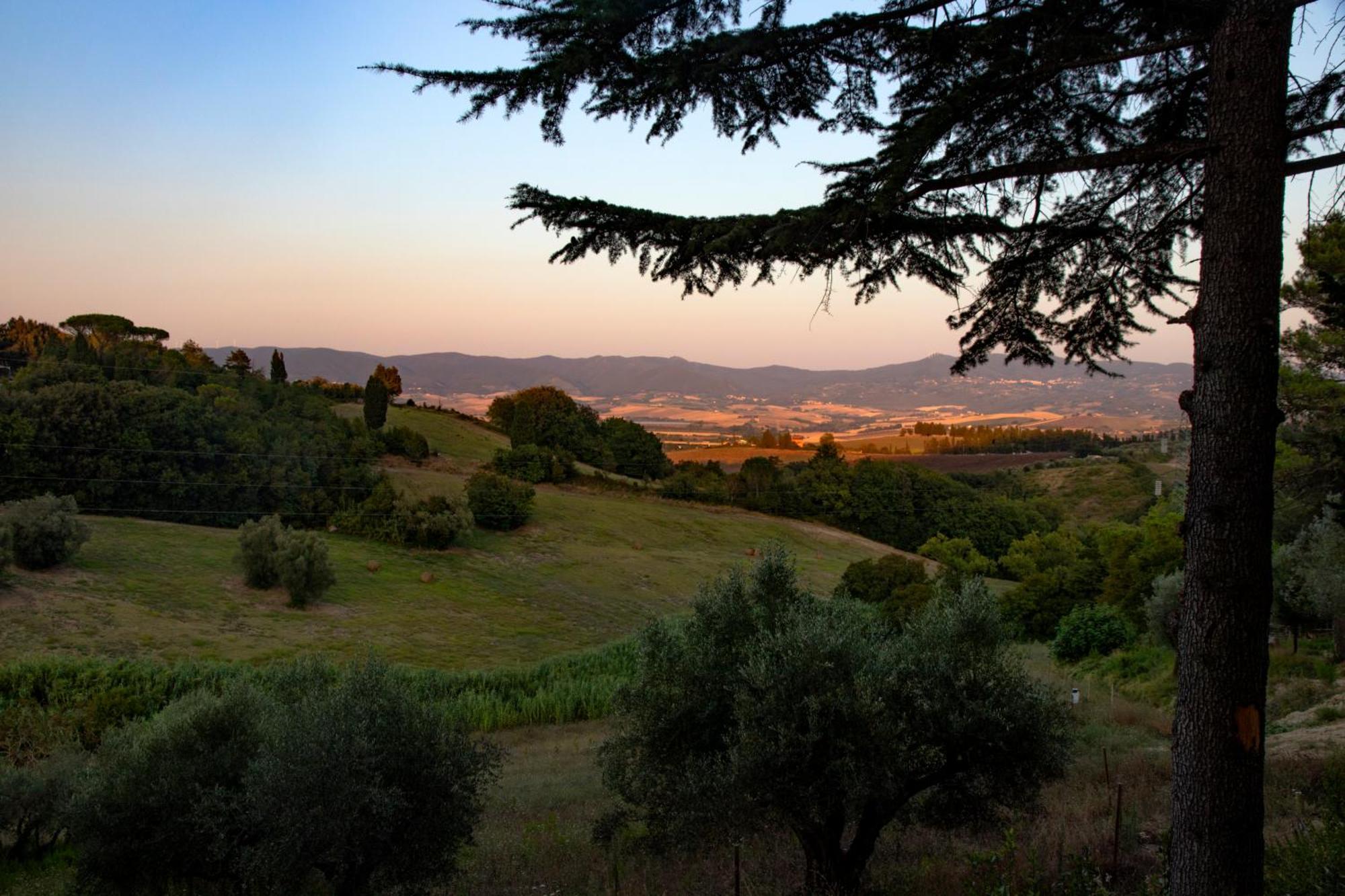 Agriturismo Terre Della Rinascita Castelnuovo della Misericordia Exteriör bild