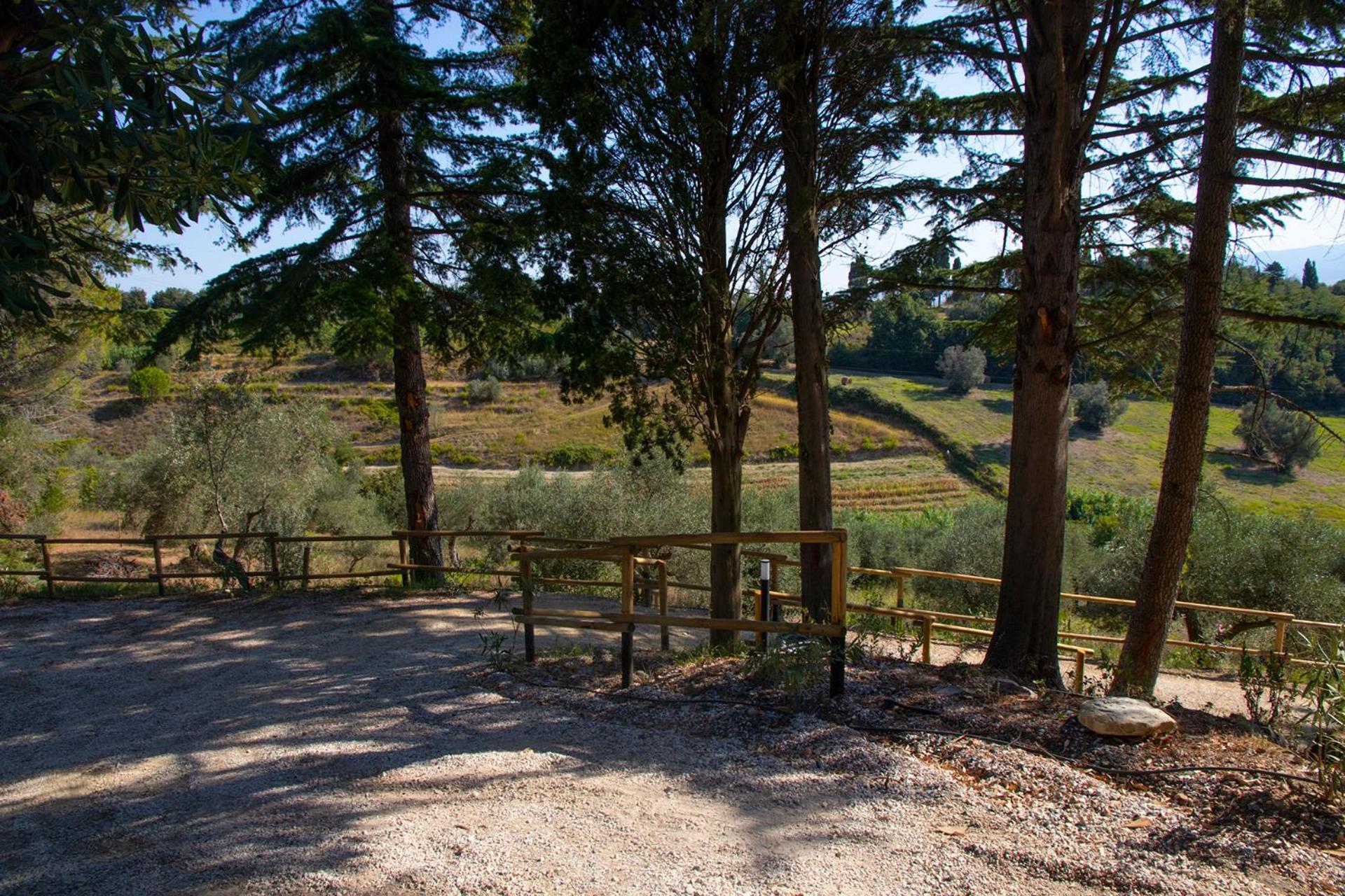 Agriturismo Terre Della Rinascita Castelnuovo della Misericordia Exteriör bild